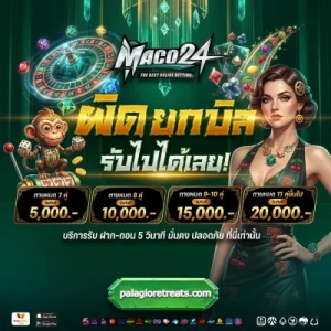 maco 24 slot wallet