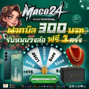 maco 24 ฝากถอนออโต้